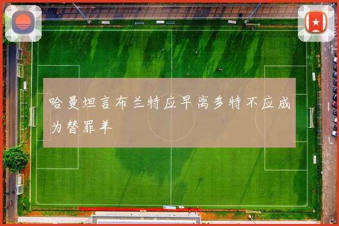 哈曼坦言布兰特应早离多特不应成为替罪羊