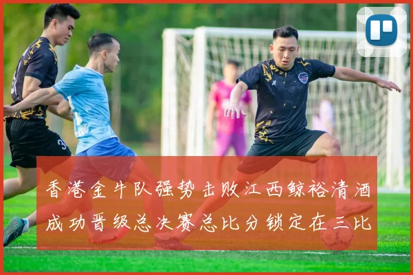 香港金牛队强势击败江西鲸裕清酒成功晋级总决赛总比分锁定在三比零